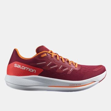 Picture of SALOMON -  SPECTUR